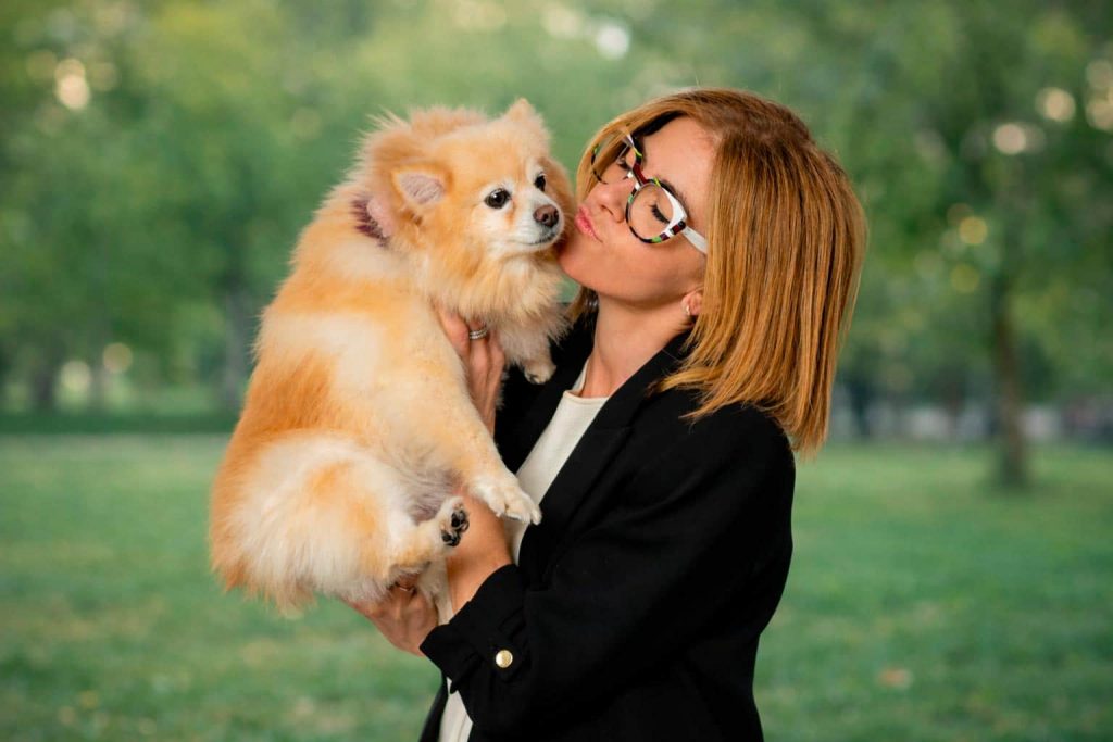 blog de peluqueria canina y felina