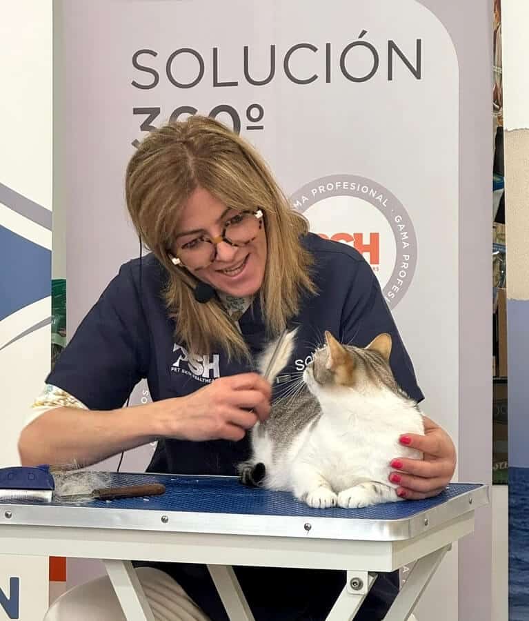 curso de peluquería para gatos