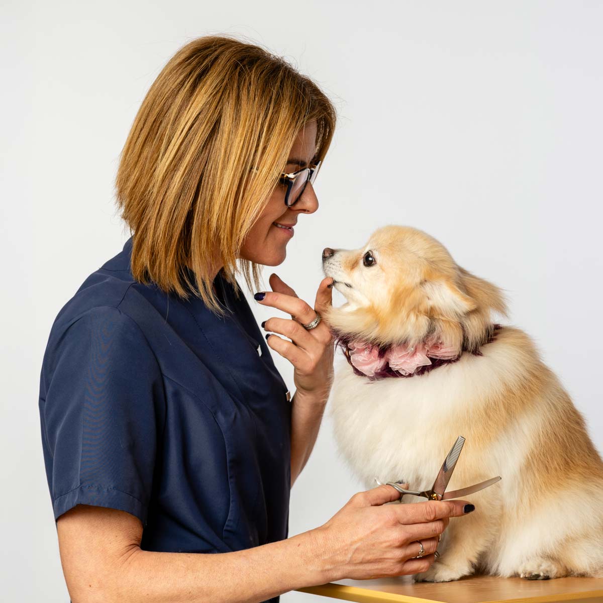 curso de peluqueria canina