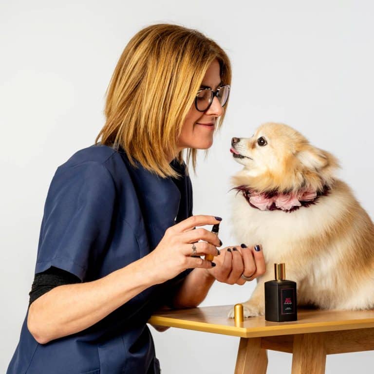 curso peluqueria canina