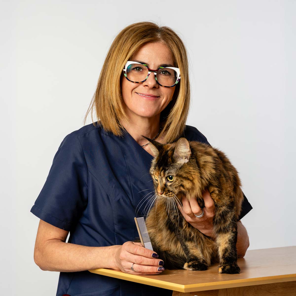 curso de peluqueria felina