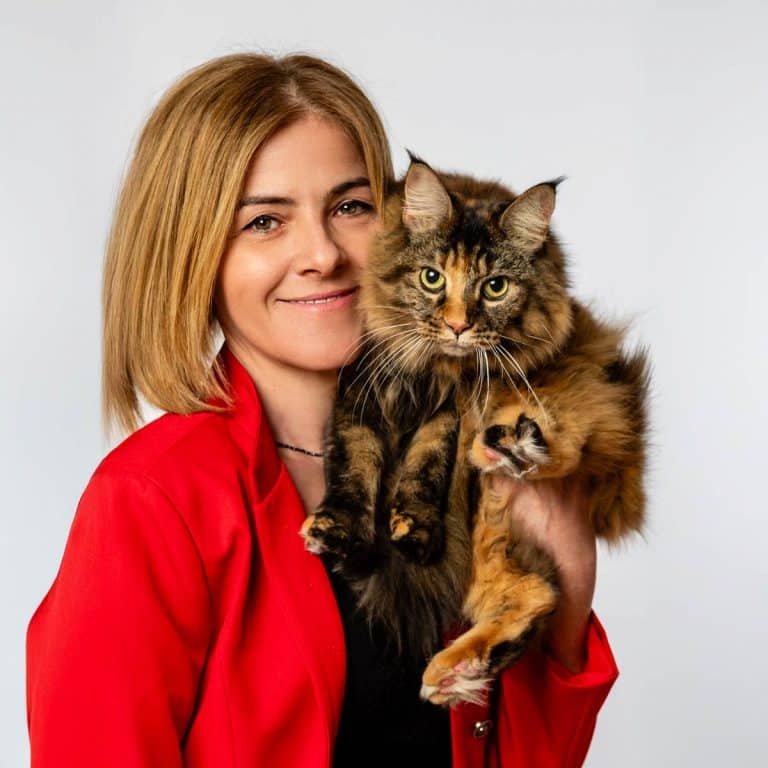 curso peluqueria felina