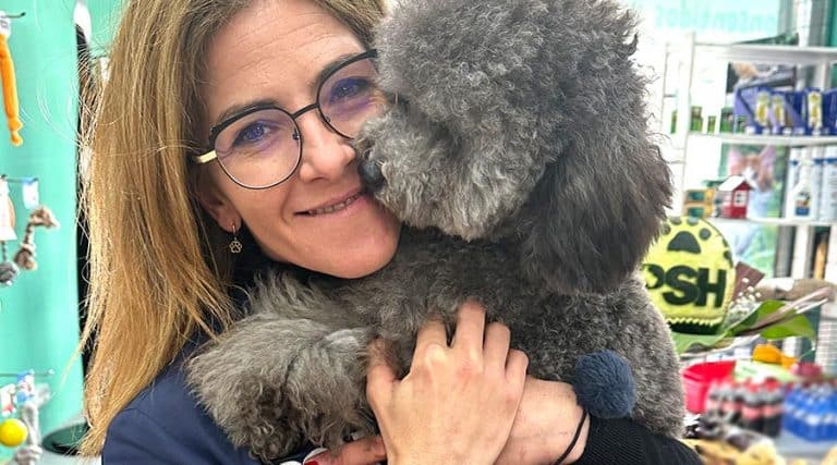 Mejor corte de pelo para caniche