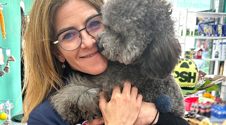 Mejor corte de pelo para caniche